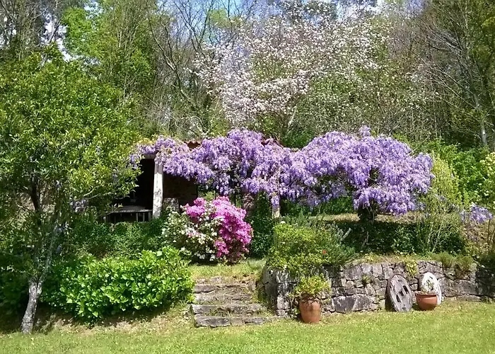 O Lughar Darriba Fogar Natural